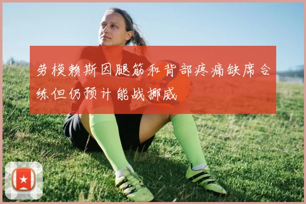 劳模赖斯因腿筋和背部疼痛缺席合练但仍预计能战挪威