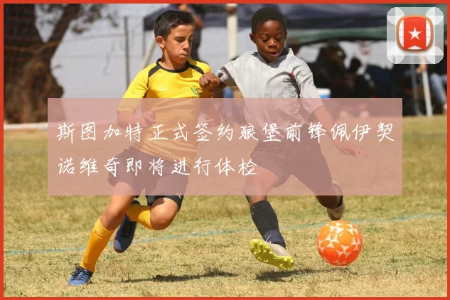 斯图加特正式签约狼堡前锋佩伊契诺维奇即将进行体检
