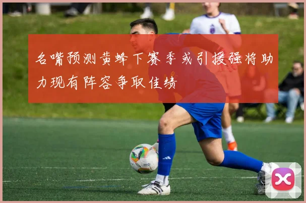 名嘴预测黄蜂下赛季或引援强将助力现有阵容争取佳绩